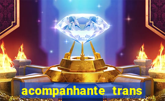 acompanhante trans porto seguro